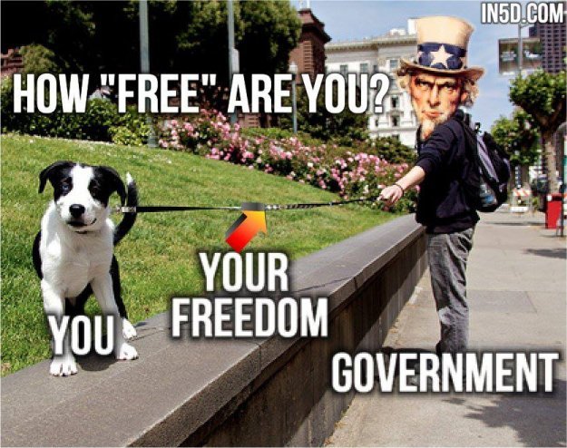 I often use an analogy of freedom as a man walking his dog. The man is the government, you are the dog and the leash is your freedom.