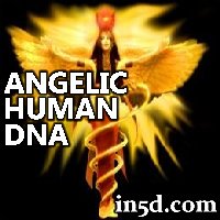 The Angelic Human DNA Template, DNA Activation, and Ascension