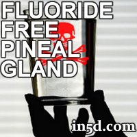 water, fluoride, Pineal Gland, calcification, 2012, mayan, spiritual guide, spiritual, guide, Mayan elders, Meditation, Ayahuasca