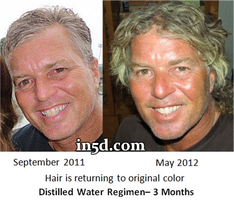 Distilled Water on Webber On The Santos Bonacci Show   Distilled Water Update   In5d Com