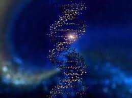 Ascension Symptoms: DNA Upgrade | in5d.com