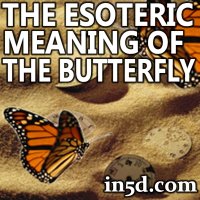 The Esoteric Meaning of the Butterfly