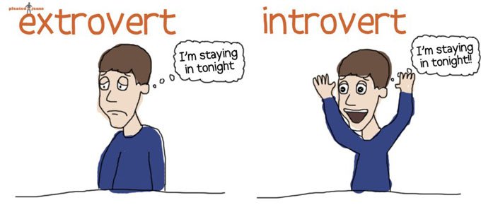 Official Introvert Vs Extrovert Test
