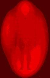 Red Aura: What are Red Auras and what does it mean to have red as one of the dominant colors of the Aura? The Aura color that surrounds an individual reflects their personality and point to their future destiny.